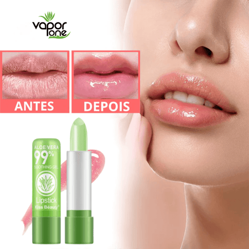 (KIT 4 BATONS + BRINDE EXCLUSIVO) Batom Hidratante De Aloe Vera Anti Envelhecimento Labial De Longa Duração